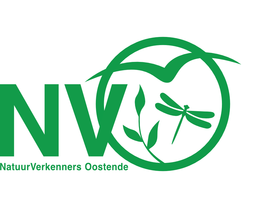 nvo-logo-groen - Png verkenners