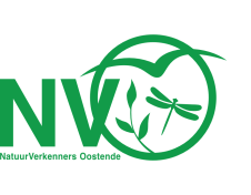 nvo-logo-groen - Png verkenners